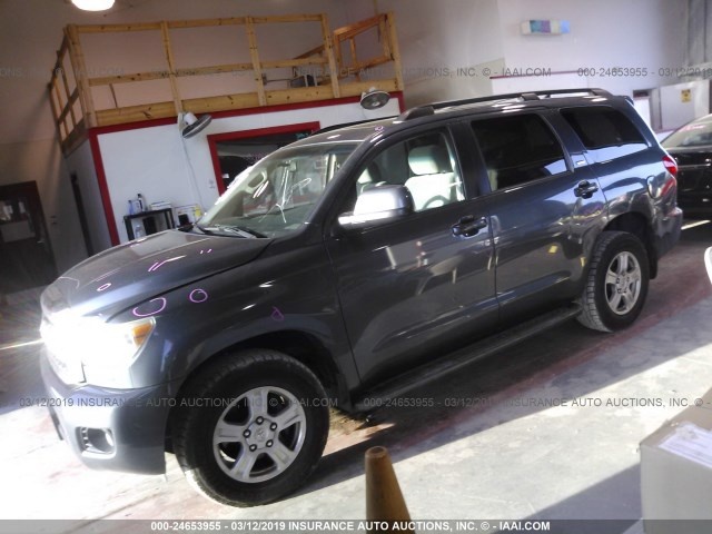 TOYOTA SEQUOIA 2010